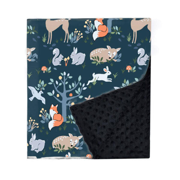 R016 Baby Blanket for Boys Girls Soft Plush Minky Blanket with Double Layer Dotted Backing