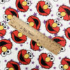 PMK200 Custom Printed Minky Fabric For Baby Blanket-2