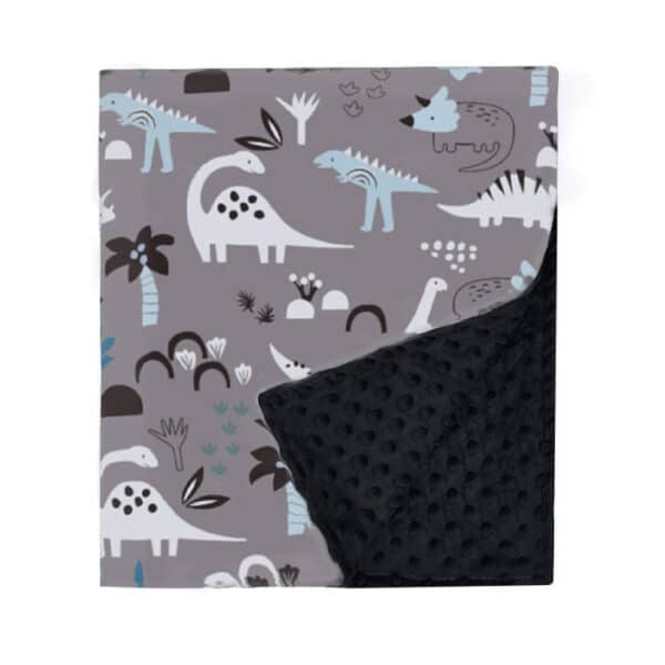 R016 Baby Blanket for Boys Girls Soft Plush Minky Blanket with Double Layer Dotted Backing